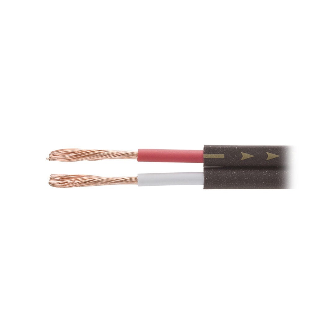 Dây Loa Ô Tô Audio-Technica AT-RS150 - PC-TripleC + OFC 14AWG Dáng Dẹt - Ảnh phụ