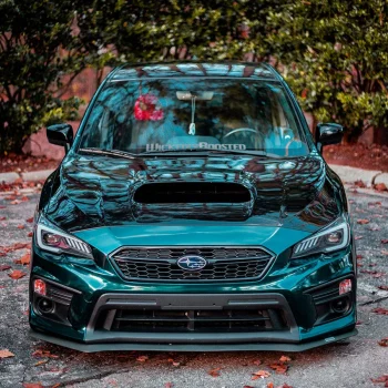 HM14-HD Decal đổi màu Xanh Lá Sherwood Green - Ảnh phụ