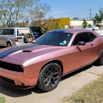 Antique Rose (VCH421-S) Vinyl Wrap - Ảnh phụ